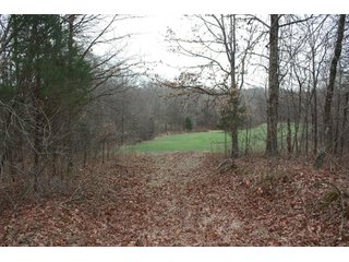 Property photo 11 - LAND AUCTION - 138+/- ACRES OFFERED IN 3 TRACTS IN SPENCER COUNTY, INDIANA